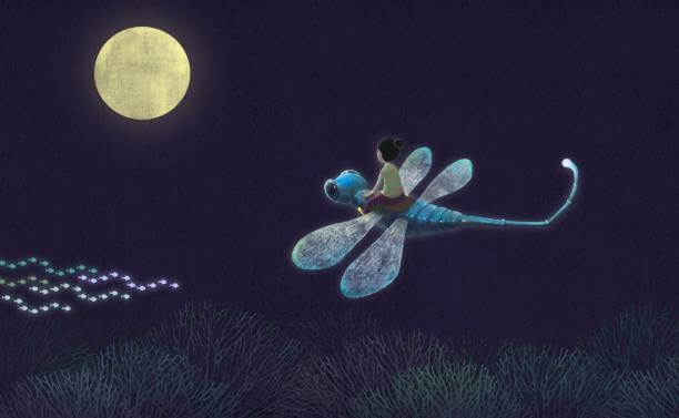 The Meaning of the Dragonfly